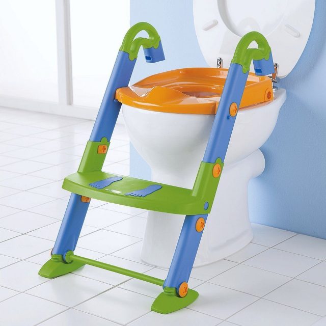 toilet training seat